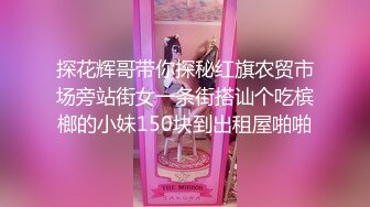 MFK-0045妈妈的职业2