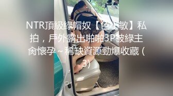 NTR頂級綠帽奴【色小敏】私拍，戶外露出啪啪3P被綠主肏懷孕～稀缺資源勁爆收藏 (3)