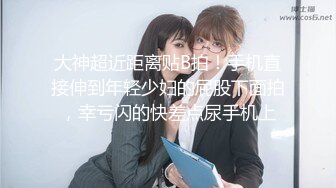 小时狐之使坏的朋友