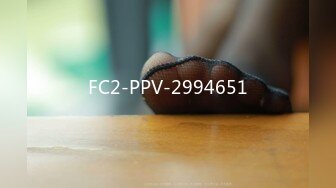 FC2-PPV-2994651