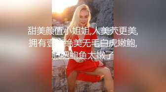 《云盘泄密》漂亮小姐姐和男友之间的私密视讯被曝光