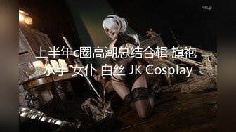 上半年c圈高潮总结合辑 旗袍 水手 女仆 白丝 JK Cosplay