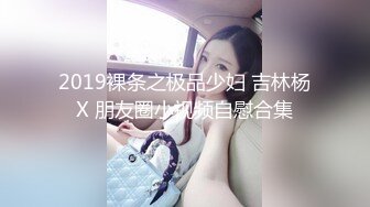 2019裸条之极品少妇 吉林杨X 朋友圈小视频自慰合集