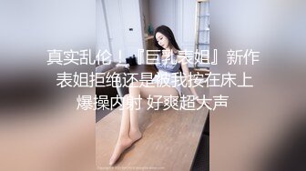 麻豆传媒MSD-071少爷的乖女仆-袁子仪