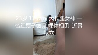 家中调教的小狗奴狗盘上尿尿