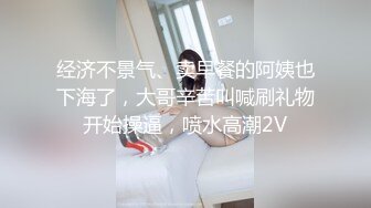 国企美艳少妇姐姐的口活