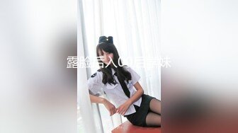 《极品反差✿淫妻泄密》推特火爆淫荡翘臀骚母狗【芬姬夏妓】不雅私拍全集，公园露出调教野战潮喷大号道具紫薇淫水泛滥