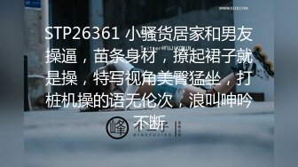 STP26361 小骚货居家和男友操逼，苗条身材，撩起裙子就是操，特写视角美臀猛坐，打桩机操的语无伦次，浪叫呻吟不断