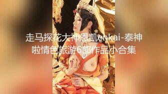 走马探花大神恩凱enkai-泰神啦情色旅游6部作品小合集