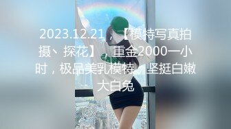 2023.12.21，【模特写真拍摄丶探花】，重金2000一小时，极品美乳模特，坚挺白嫩大白兔