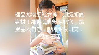 【自制字幕系列】之【壹屌寻花】（第二场）南航空姐，高跟黑丝女神，此等佳人难得一遇