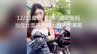 12/11最新 老婆回娘家爸妈当侄女面再次操上嫂子肥美菊花VIP1196