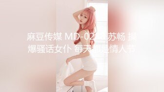 麻豆传媒 MCY-0027 空姐女友被强暴 苏清歌