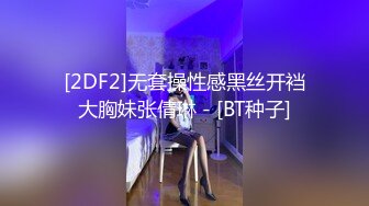 [2DF2]无套操性感黑丝开裆大胸妹张倩琳 - [BT种子]