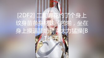  车模下海激情夜大长腿美女小姐姐，被纹身男各种姿势操，蹲着特写舔屌