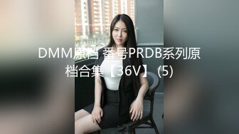 DMM原档 番号PRDB系列原档合集【36V】 (5)