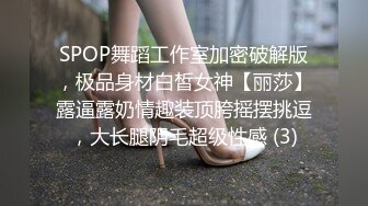 SPOP舞蹈工作室加密破解版，极品身材白皙女神【丽莎】露逼露奶情趣装顶胯摇摆挑逗，大长腿阴毛超级性感 (3)