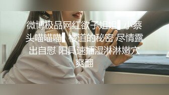 微博极品网红欲子姐姐▌小蔡头喵喵喵▌楼道的秘密 尽情露出自慰 阳具速插湿淋淋嫩穴爽翻