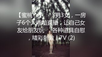 不肯翻面的小坦克