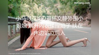 小马寻花约D罩杯文静外围小姐姐 解开内衣揉捏奶子 扶在床边站立后入