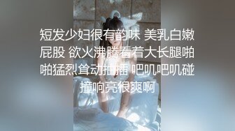 大奶性感欧美女优 La Sirena 大合集【32V】 (8)