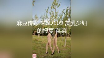 麻豆传媒 MSD109 美乳少妇的报复 菜菜