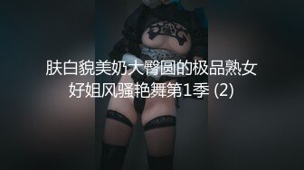 肤白貌美奶大臀圆的极品熟女好姐风骚艳舞第1季 (2)