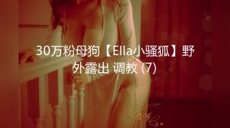 30万粉母狗【Ella小骚狐】野外露出 调教 (7)