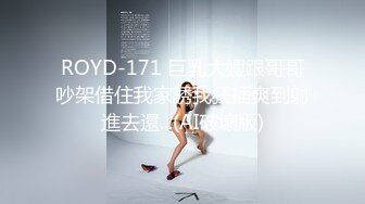 ROYD-171 巨乳大嫂跟哥哥吵架借住我家誘我狂插爽到射進去還...(AI破壞版)