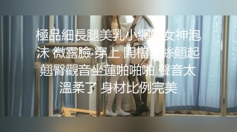 白嫩巨乳小粉红-斑比の初縛 [AV棒+巨根の强制凌辱] 高清视图 [82P+1V/1.6G]