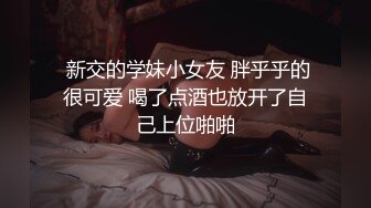 完美腰臀比女神 主动后入 （加精）