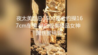  夜太美赵总3500重金约操167cm车模 肤白貌美极品女神 黑丝蜜桃臀