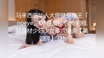 CCAV&星空无限传媒联合出品 XK0001 出租女友 阻隔女友过大年 韓小野