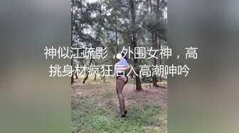 【AI换脸视频】李一桐《空姐日记》