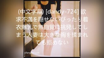 (中文字幕) [dandy-724] 欲求不満を隠せないぴったり着衣爆乳で無自覚に挑発してしまう人妻は大きな胸を揉まれても拒めない