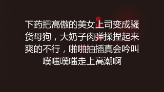 下药把高傲的美女上司变成骚货母狗，大奶子肉弹揉捏起来爽的不行，啪啪抽插真会吟叫噗嗤噗嗤走上高潮啊