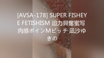 [AVSA-178] SUPER FISHEYE FETISHISM 迫力興奮蜜写 肉感ボインMビッチ 凪沙ゆきの