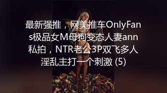 最新强推，网美推车OnlyFans极品女M母狗变态人妻ann私拍，NTR老公3P双飞多人淫乱主打一个刺激 (5)