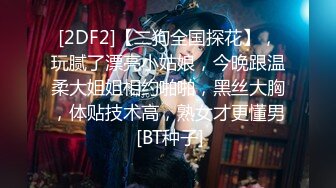 [2DF2]【二狗全国探花】，玩腻了漂亮小姑娘，今晚跟温柔大姐姐相约啪啪，黑丝大胸，体贴技术高，熟女才更懂男 [BT种子]